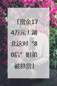 赏金174万元！湖北这对“80后”姐弟被悬赏