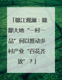 赣江观澜：赣鄱大地“一村一品”何以推动乡村产业“百花齐放”？