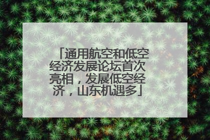 通用航空和低空经济发展论坛首次亮相，发展低空经济，山东机遇多