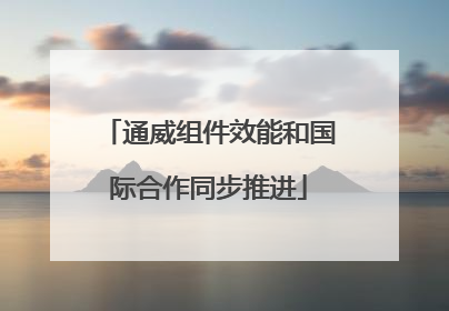 通威组件效能和国际合作同步推进