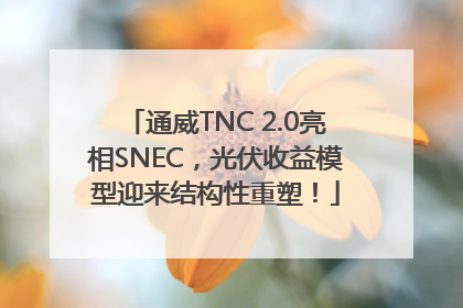 通威TNC 2.0亮相SNEC，光伏收益模型迎来结构性重塑！