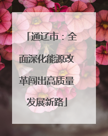 通辽市：全面深化能源改革闯出高质量发展新路