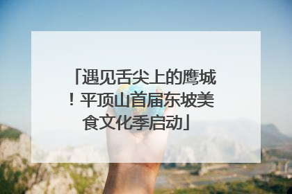 遇见舌尖上的鹰城！平顶山首届东坡美食文化季启动