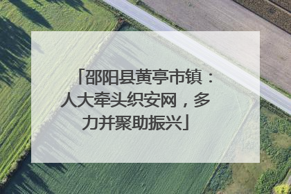 邵阳县黄亭市镇：人大牵头织安网，多力并聚助振兴