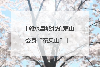 邻水县城北镇荒山变身“花果山”
