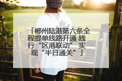 郴州陆港第六条全程提单线路开通 践行“区港联动” 实现“半日通关”