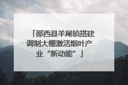 郧西县羊尾镇搭建调制大棚激活烟叶产业“新动能”