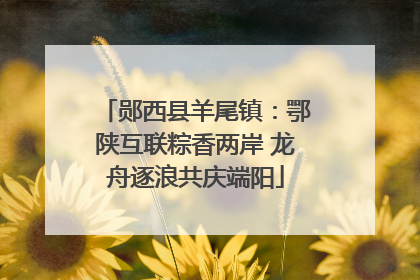 郧西县羊尾镇：鄂陕互联粽香两岸 龙舟逐浪共庆端阳