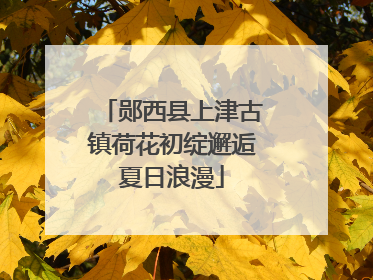 郧西县上津古镇荷花初绽邂逅夏日浪漫