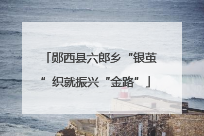 郧西县六郎乡“银茧”织就振兴“金路”