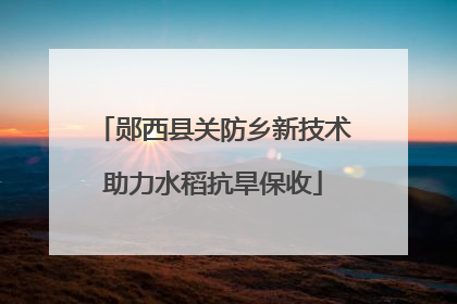 郧西县关防乡新技术助力水稻抗旱保收