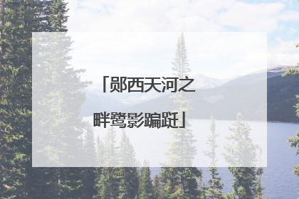 郧西天河之畔鹭影蹁跹