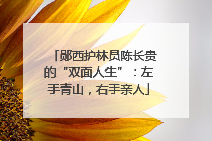郧西护林员陈长贵的“双面人生”：左手青山，右手亲人