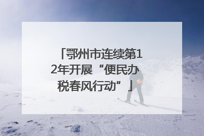 鄂州市连续第12年开展“便民办税春风行动”