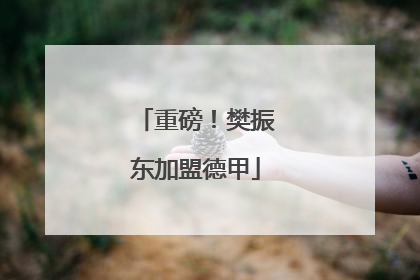 重磅！樊振东加盟德甲