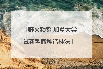 野火频繁 加拿大尝试新型撒种造林法