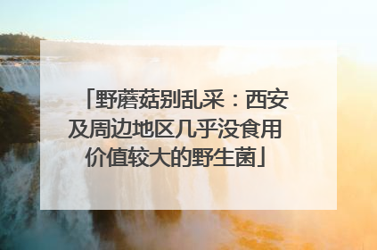 野蘑菇别乱采：西安及周边地区几乎没食用价值较大的野生菌