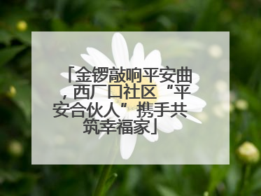 金锣敲响平安曲，西厂口社区“平安合伙人”携手共筑幸福家