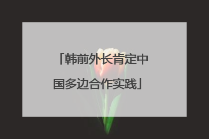 韩前外长肯定中国多边合作实践