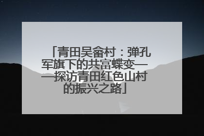 青田吴畲村：弹孔军旗下的共富蝶变——探访青田红色山村的振兴之路
