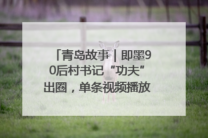 青岛故事｜即墨90后村书记“功夫”出圈，单条视频播放量过600万