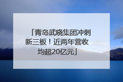青岛武晓集团冲刺新三板！近两年营收均超20亿元