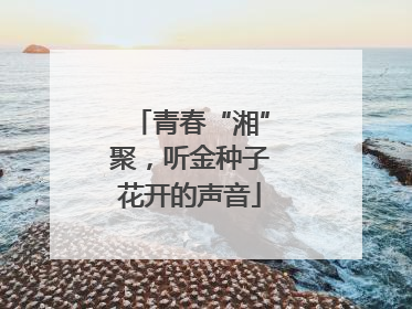 青春“湘”聚，听金种子花开的声音