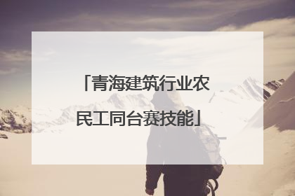 青海建筑行业农民工同台赛技能