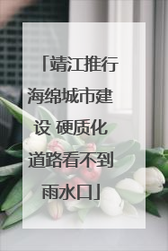 靖江推行海绵城市建设 硬质化道路看不到雨水口
