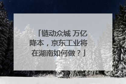 链动众城 万亿降本，京东工业将在湖南如何做？