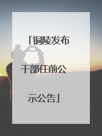 铜陵发布干部任前公示公告