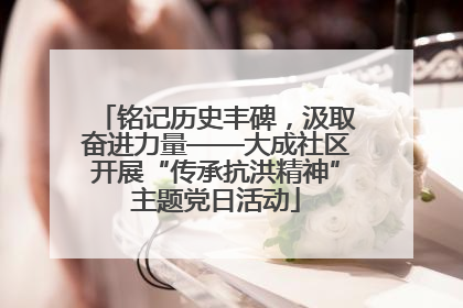 铭记历史丰碑，汲取奋进力量——大成社区开展“传承抗洪精神”主题党日活动
