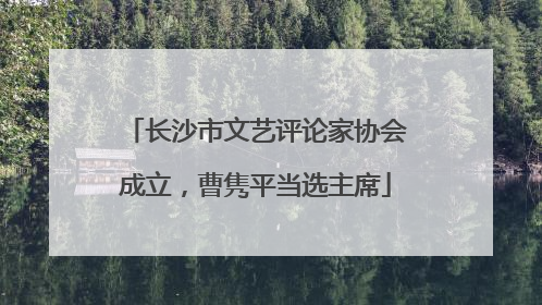 长沙市文艺评论家协会成立，曹隽平当选主席