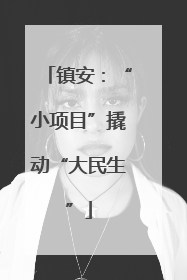 镇安：“小项目”撬动“大民生”