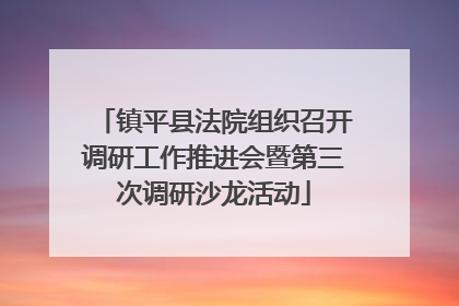 镇平县法院组织召开调研工作推进会暨第三次调研沙龙活动