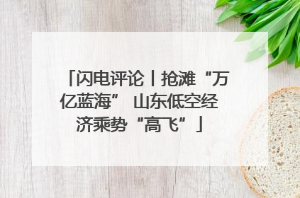 闪电评论丨抢滩“万亿蓝海” 山东低空经济乘势“高飞”