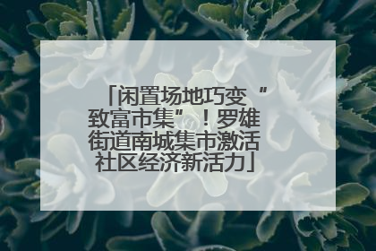 闲置场地巧变“致富市集”！罗雄街道南城集市激活社区经济新活力