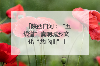 陕西白河：“五线谱”奏响城乡文化“共鸣曲”