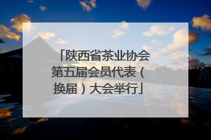 陕西省茶业协会第五届会员代表（换届）大会举行