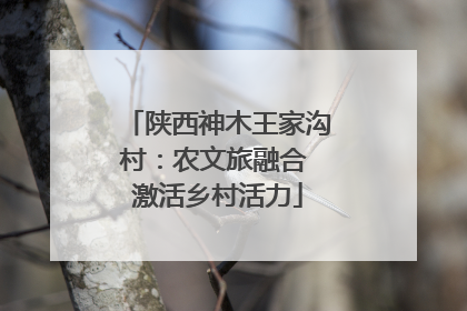陕西神木王家沟村：农文旅融合 激活乡村活力