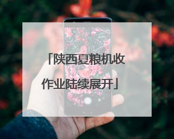 陕西夏粮机收作业陆续展开