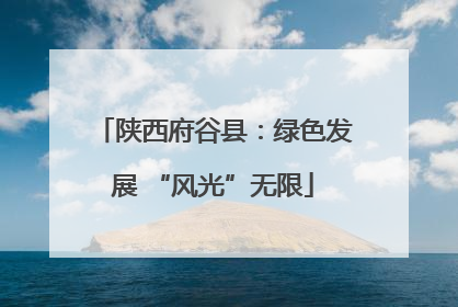 陕西府谷县：绿色发展 “风光”无限