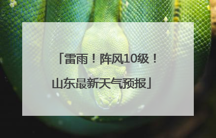 雷雨！阵风10级！山东最新天气预报