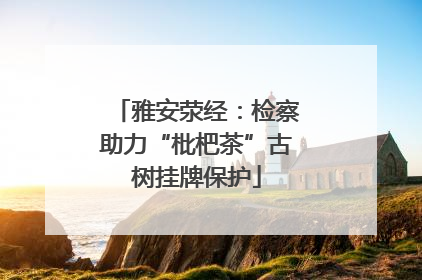 雅安荥经：检察助力“枇杷茶”古树挂牌保护
