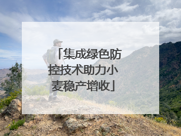 集成绿色防控技术助力小麦稳产增收