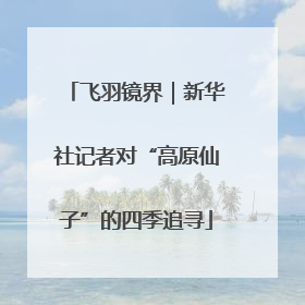 飞羽镜界｜新华社记者对“高原仙子”的四季追寻