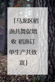 马龙区稻渔共舞促增收 稻渔订单生产共致富