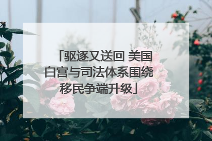 驱逐又送回 美国白宫与司法体系围绕移民争端升级