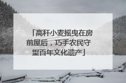 高秆小麦摇曳在房前屋后，巧手农民守望百年文化遗产