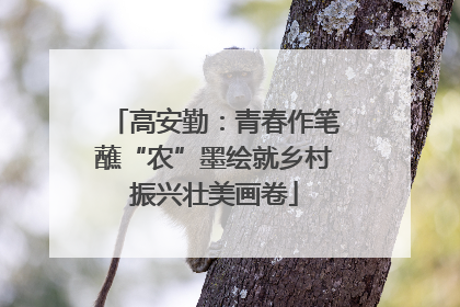 高安勤：青春作笔蘸“农”墨绘就乡村振兴壮美画卷